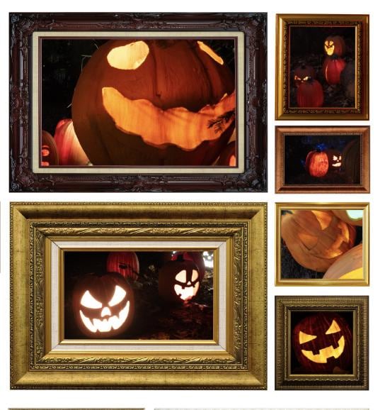 gallery photo