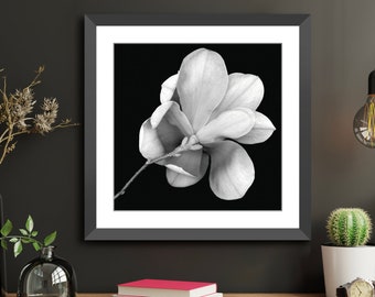Framed Print - Magnolia In Black And White - Ready To Hang Art