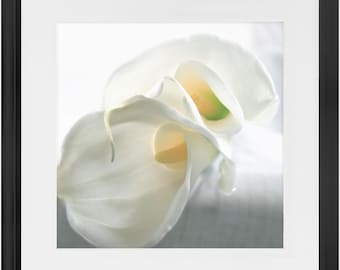 Framed Print - Calla Lilly Abstract 3 - Ready To Hang Art