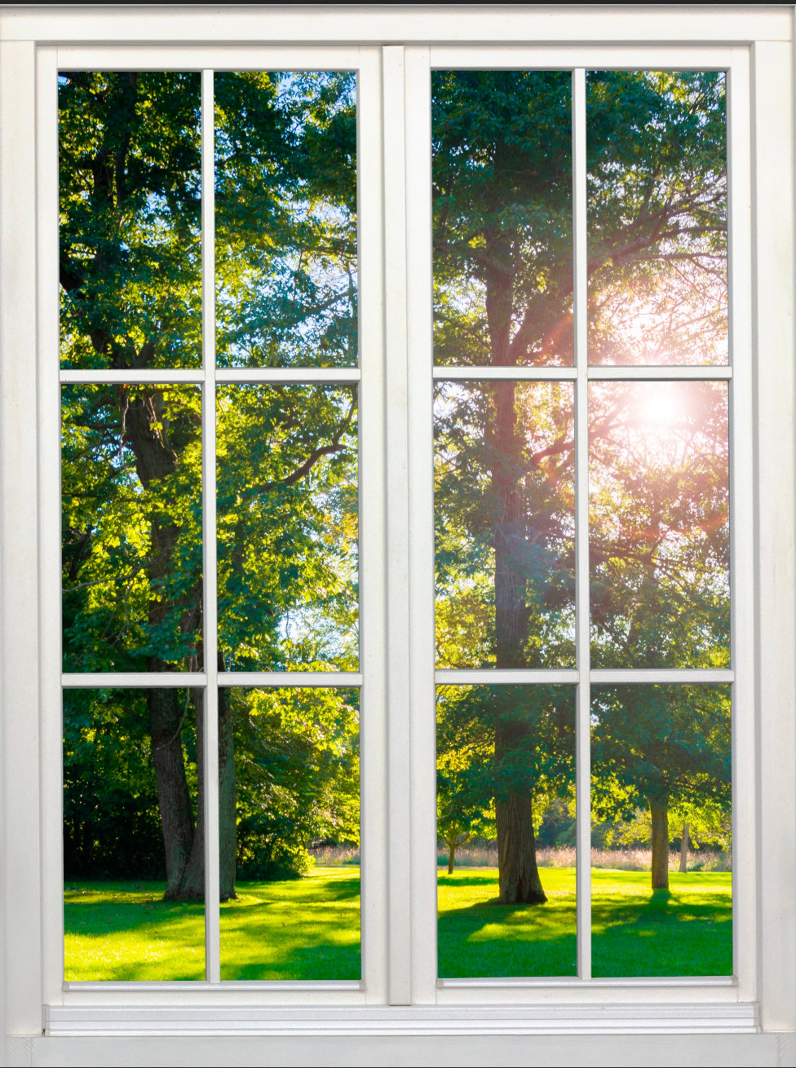 Wall mural window self adhesive backlit trees and Etsy