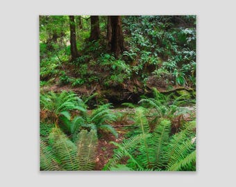 Canvas Tiles - adhesive