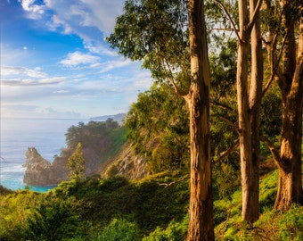 Wall mural, self adhesive -California-Big Sur-XL- 121 wide x96 tall