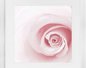 Pink Rose Framed Art Print - Ready to Hang Floral Photo (16x16)