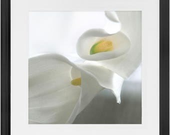 Framed Print - Calla Lilly Abstract - Ready To Hang Art
