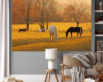 Photo Wall Mural, self adhesive, Cades Cove horses, TN, 48x72 inches