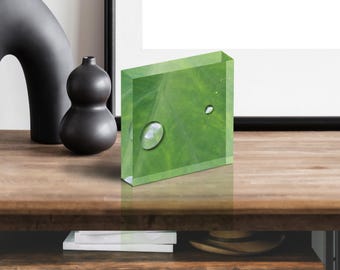 Acrylic Photo Block - Abstract Flora - Leaf Closeup