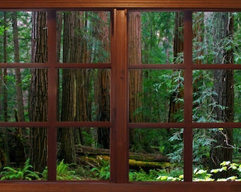 Wall mural window, self adhesive, forest window view- Muir Woods View-perfect gift