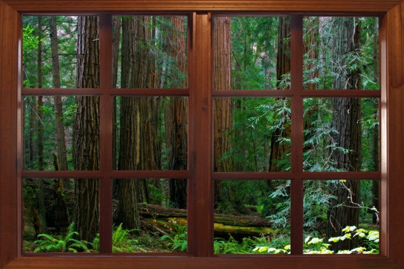Wall Mural Window Self Adhesive Forest Window View Muir Etsy Wall Mural Window Self Adhesive Forest Window View Muir Etsy
