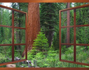 Wall mural window, self adhesive, forest window view-4 sizes available-Mariposa Grove-California-redwoods