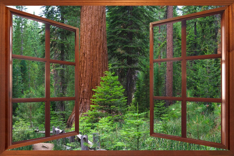 Wall Mural Window Self Adhesive Forest Window View4 Sizes Etsy