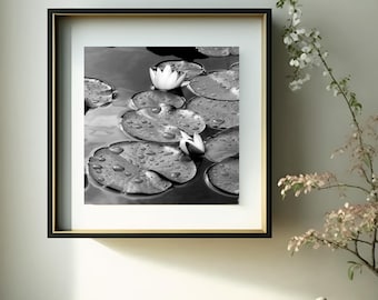 Photo Art by Anna Miller- Waterlilies - black and white photo