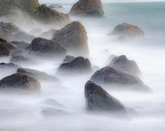 Photo Art by Anna Miller- Muir Beach