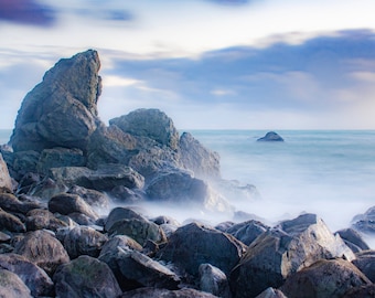 Photo Art by Anna Miller- Muir Beach