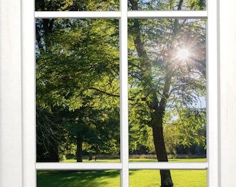 Wall mural window, self adhesive, sun filtering through trees and meadow-vertical