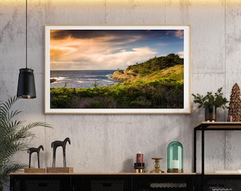 Photo Art by Anna Miller- Point Lobos, Big Sur, California