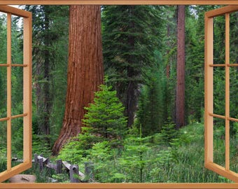Wall mural window, self adhesive, forest window view-4 sizes available-Mariposa Grove-California-redwoods- Oak Frame