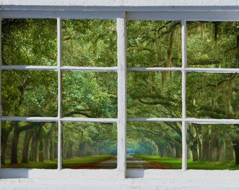 Wall mural window, self adhesive, Savannah Live Oak Alley-white window view-3 sizes available-perfect gift