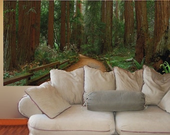 Wall Mural, Muir Woods, 48x100 inches