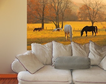 Photo Wall Mural, self adhesive, Cades Cove horses, TN, 48x72 inches