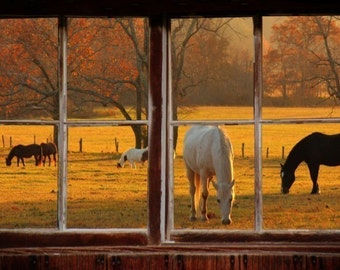 Wall mural window, self adhesive -Cades Cove window view-3 sizes available-perfect gift
