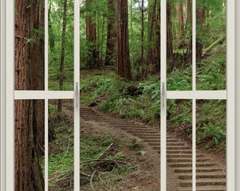 Wall mural window, self adhesive, forest window view-vertical-California Redwoods- Muir Woods Steps