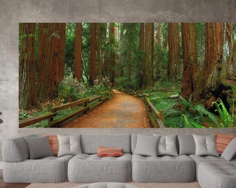 Wall Mural, Muir Woods, 48x100 inches