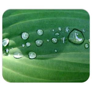 Mousepad - Dew Drops On Hosta Leaf