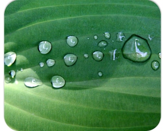Mousepad - Dew Drops On Hosta Leaf