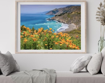 Archival Print - California Poppies, Pacific Coast, California, Usa
