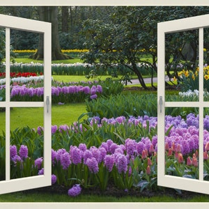 Wall mural window, self adhesive -Holland garden, open window view-3 sizes available-Hyacinth Spring Garden