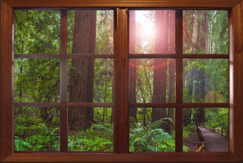 Wall mural window self adhesive forest window view-4 sizes 1 - изображение....