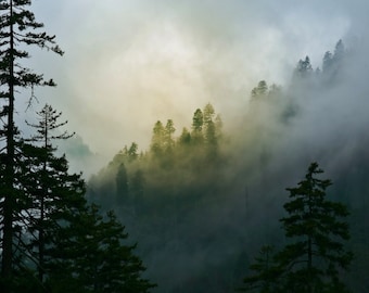 Photo Art by Anna Miller- Smoky Mountains, Tennessee