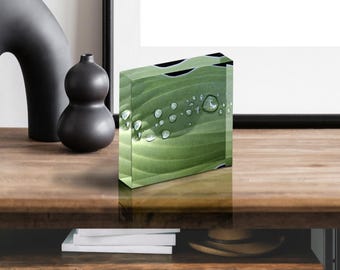 Acrylic Photo Block - Abstract Flora - Hosta Leaf With Dew Closeup