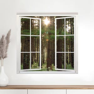 Indiana Pine Forest View Wall Mural, Faux Window Decal