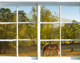Wall mural window, self adhesive, Green Cades Cove window view-perfect gift