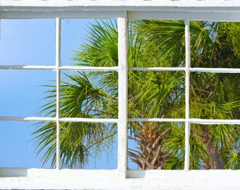 Wall mural window, self adhesive, window view-3 sizes available-Palm Fronds-perfect gift