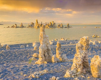 Photo Art by Anna Miller- Mono Lake Tufas, California
