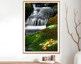 Photo Art by Anna Miller- Mossy Boulders in Mountain Creek- Smoky Mountains