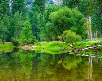Wall mural, self adhesive, forest window view-Merced River-Yosemite