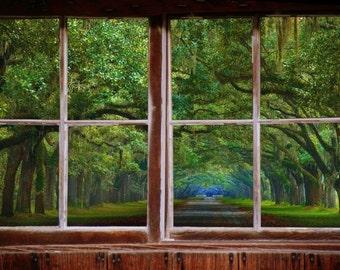Wall mural window, self adhesive, Savannah Live Oak Alley- window view-2 sizes available-perfect gift