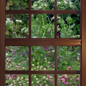 Wall mural window, self adhesive, lush garden vertical window view-large 24x36-perfect gift