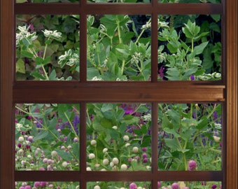 Wall mural window, self adhesive, lush garden vertical window view-large 24x36-perfect gift