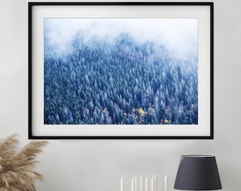Archival Print - Frosted Forest, Rocky Mountains, Co, Usa