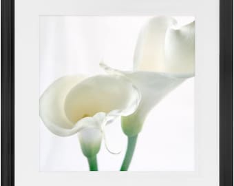 Framed Print - Calla Lilly Abstract 2 - Ready To Hang Art