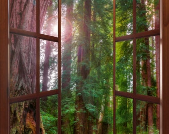 Muir Woods Window View Wall Mural, Redwood Forest Decal