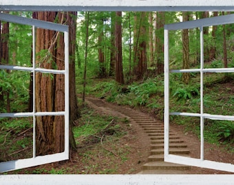 Redwood Forest Window View Wall Mural, Self Adhesive Decal