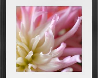 Framed Print - Pink Dahlia - Ready To Hang Art