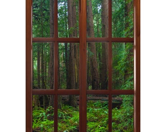 Wall mural window, self adhesive, forest window view-vertical-California Redwoods- Muir Woods 2