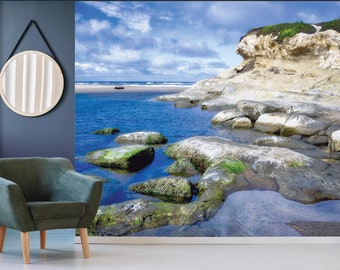 Wallpaper, self adhesive, San Gregorio State Beach, California/ Peel and Stick Wallpaper/ Photo Mural