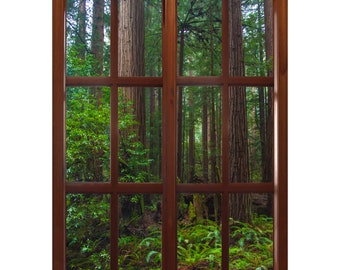 Wall mural window, self adhesive, forest window view-vertical-California Redwoods- Muir Woods 3